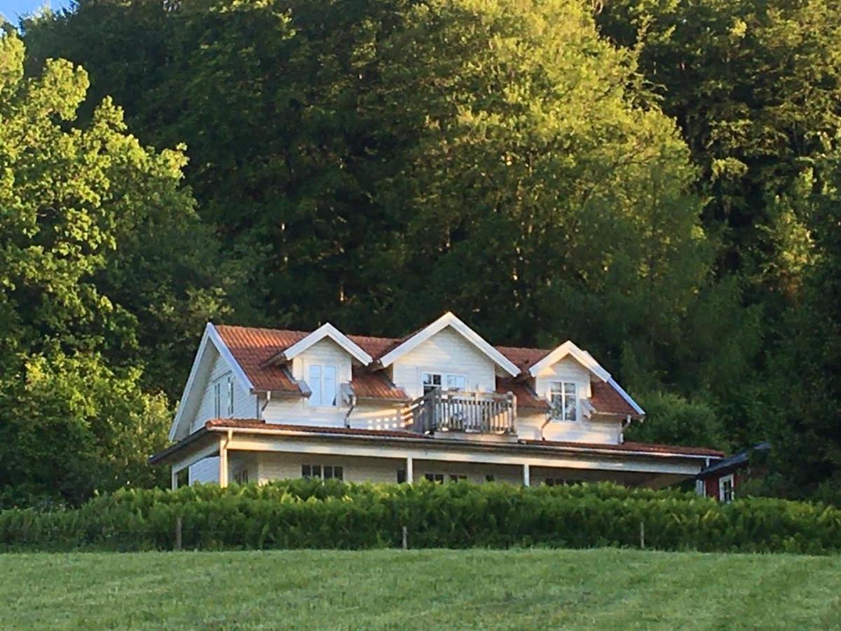 Ny Flintarp Villa Laholm Dış mekan fotoğraf
