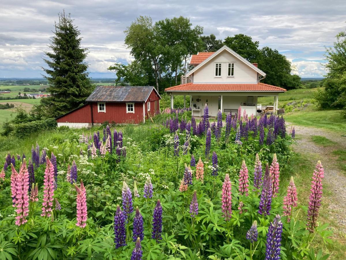 Ny Flintarp Villa Laholm Dış mekan fotoğraf