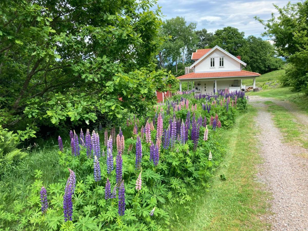Ny Flintarp Villa Laholm Dış mekan fotoğraf